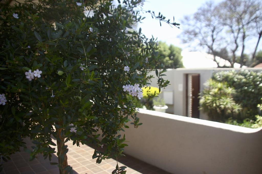 Melville Manor Guest House 요하네스버그 외부 사진