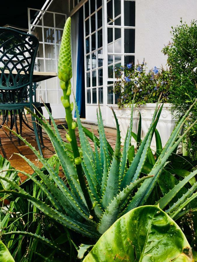 Melville Manor Guest House 요하네스버그 외부 사진